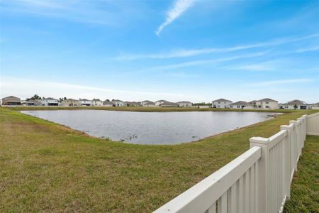 New construction Single-Family house 2812 Gumbo Limbo Dr, Wimauma, FL 33598 null- photo 38 38