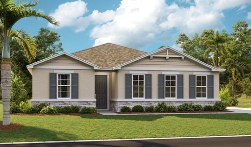 New construction Single-Family house 3717 Deer Ridge Dr, Mount Dora, FL 32757 Slate- photo 0