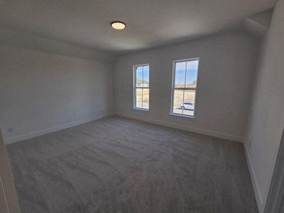 New construction Single-Family house 17341 Graces Path, Pflugerville, TX 78660 plan Travis - image 13