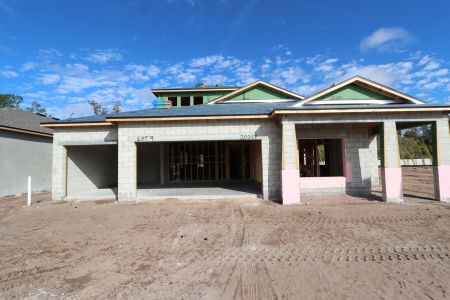 New construction Single-Family house 20267 Oriana Loop, Land O' Lakes, FL 34638 Newport II Bonus- photo 19 19