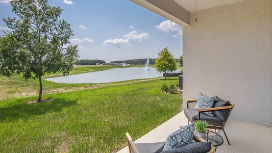 Farm at Varrea Villas by D.R. Horton in Plant City - photo 17 17