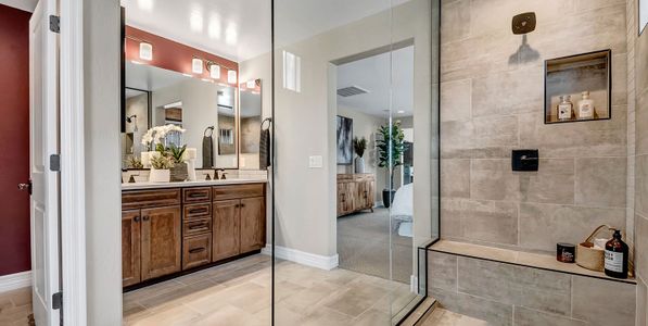 New construction Single-Family house 43460 N Hinoki St, Queen Creek, AZ 85140 plan Sapphire - image 15