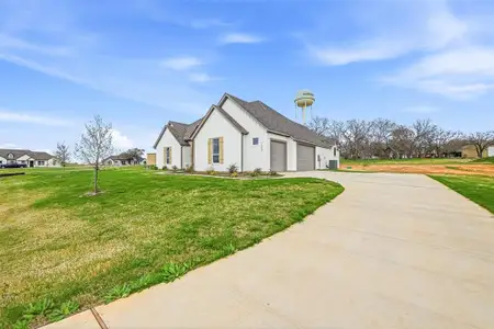 New construction Single-Family house 1005 Ronnie Ct, Springtown, TX 76082 - image