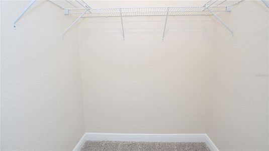 New construction Single-Family house 12085 Harris Hawk Rd, Brooksville, FL 34614 - image 12