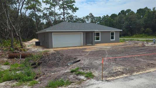 New construction Single-Family house 181 Fisher Way Loop, Ocklawaha, FL 32179 - photo 0