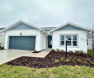 New construction Single-Family house 11341 Hardwood Hammock Ln, Riverview, FL 33569 The Northglen- photo 1 1