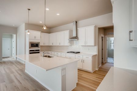 New construction Single-Family house 8405 S Winnipeg Ct, Aurora, CO 80016 null- photo 10 10