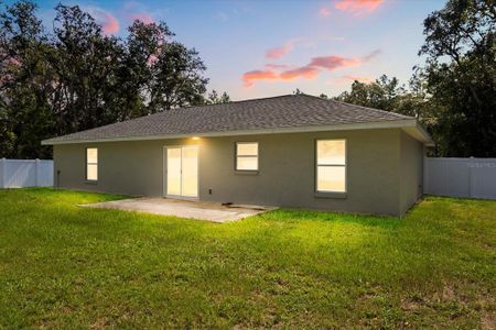 New construction Single-Family house 12 Fisher Trace Pl, Ocklawaha, FL 32179 - image