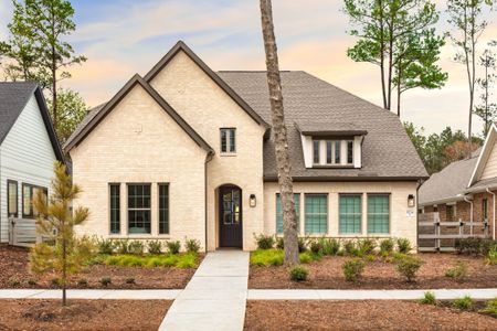 New construction Single-Family house 8134 Montgomery Ridge Wy, Montgomery, TX 77356 plan Colleyville - image