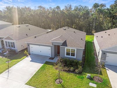 New construction Single-Family house 2028 Red Rock Rd, New Smyrna Beach, FL 32168 plan Cali - image