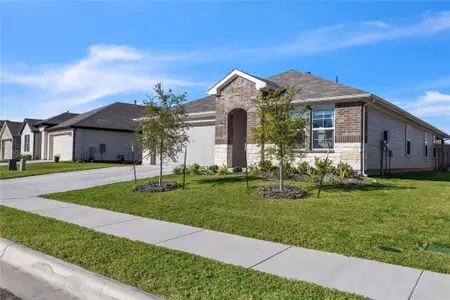 New construction Single-Family house 13800 Dismuke Dr, Manor, TX 78653 plan The Lakeway - image
