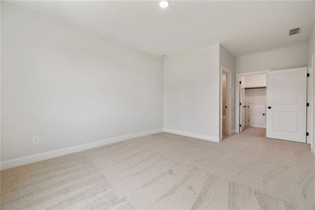 New construction Single-Family house 158 Palisade Dr, Rydal, GA 30171 - image 17