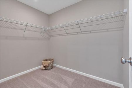 New construction Single-Family house 511 Township Ave, Rockmart, GA 30153 - image 19