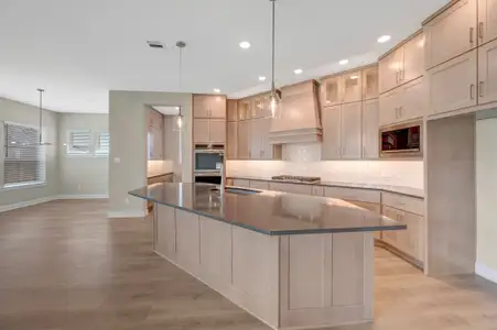 New construction Single-Family house 20515 Via Mimosa Dr, Cypress, TX 77433 plan The Dandelion - image 10