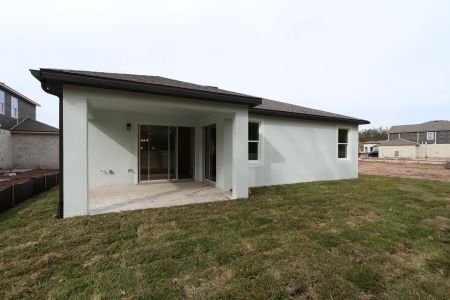 New construction Single-Family house 20339 Oriana Loop, Land O' Lakes, FL 34638 Newport II- photo 106 106