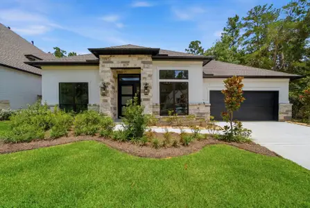 New construction Single-Family house 126 Stellar Hills Ct, Willis, TX 77318 plan 3865 - image