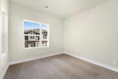 New construction Single-Family house 6793 Maple Leaf Dr, Unit 201, Timnath, CO 80547 plan Monarch - image 19