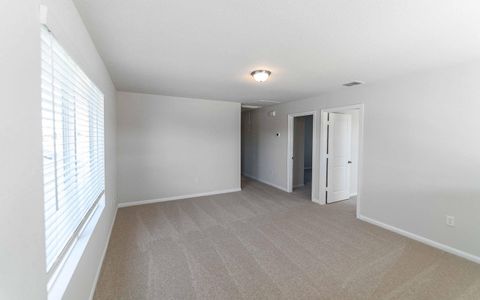 New construction Single-Family house 372 Kenai Dr, Kyle, TX 78640 plan Sapphire - image 12