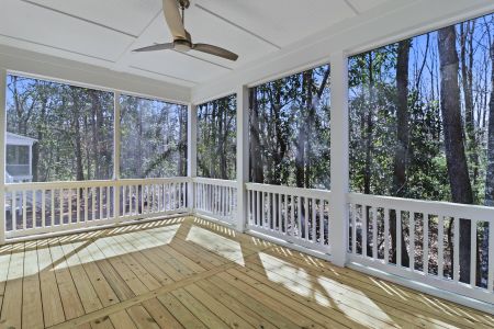 New construction Single-Family house 1726 Vireo Ct, Johns Island, SC 29455 - image 16