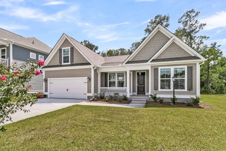 New construction Single-Family house 734 Maynard Ln, Summerville, SC 29486 plan Drayton - image