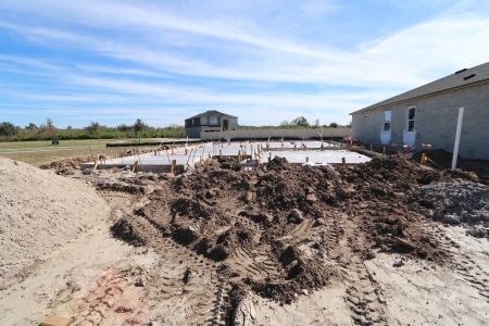 New construction Single-Family house 3164 Adams Cross Dr, Zephyrhills, FL 33540 Marque- photo 6 6