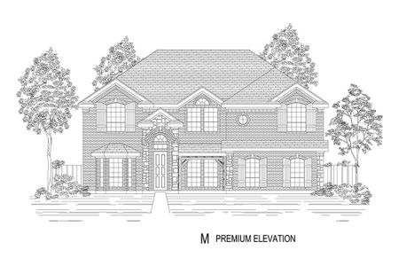 New construction Single-Family house 12515 Dove Chase Ln, Frisco, TX 75035 null- photo 18 18