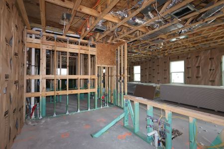 New construction Townhouse house 17824 Broadleaf Lp, North Port, FL 34293 plan Bismark - image
