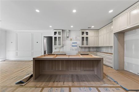 New construction Single-Family house 250 Trinity Church Rd, Canton, GA 30115 - image 16