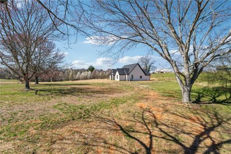 New construction Single-Family house 4425 Clarks Bridge Rd, Gainesville, GA 30506 null- photo 31 31