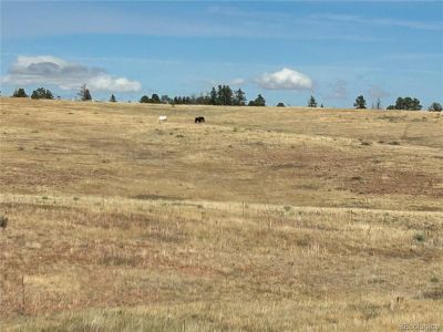 New construction Single-Family house 270 High Meadows Loop, Elizabeth, CO 80107 null- photo 11 11