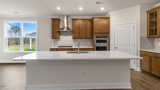 New construction Single-Family house 317 Umstead St, Sanford, NC 27330 Hartwell- photo 8 8