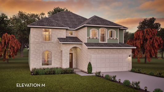 New construction Single-Family house 521 Exploration Cir, Liberty Hill, TX 78642 plan Snowmass - image