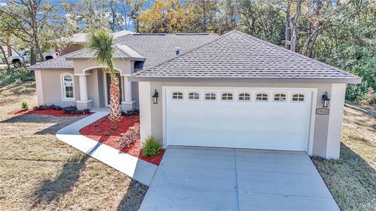 New construction Single-Family house 19610 Sw 93Rd Pl, Dunnellon, FL 34432 null- photo 3 3