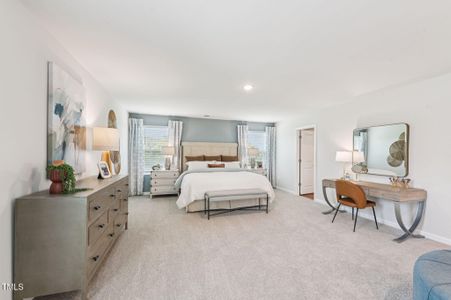 New construction Single-Family house 202 Thistle Patch Pl, Angier, NC 27501 plan Taylorsville - image 18