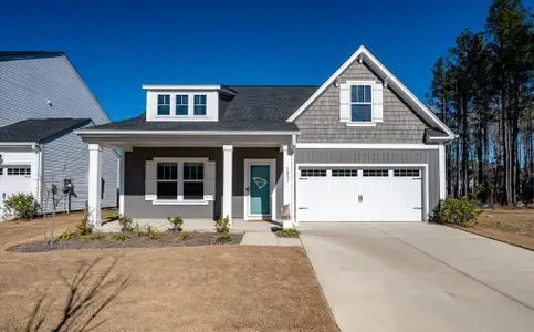 New construction Single-Family house 1033 Marsh Harrier, Ravenel, SC 29470 - image