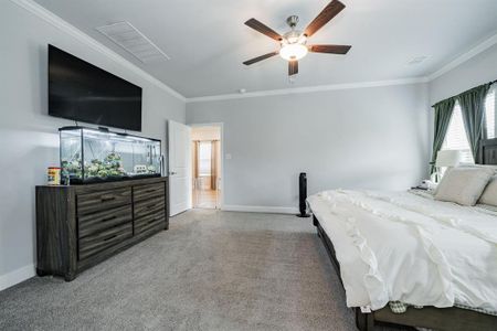 Lakepointe by BLUEHAVEN Homes in Lavon - image 19