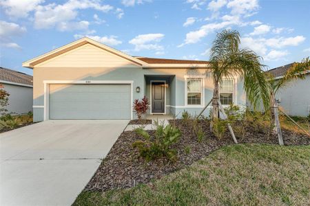 New construction Single-Family house 6310 116Th Ave E, Parrish, FL 34219 - photo 0