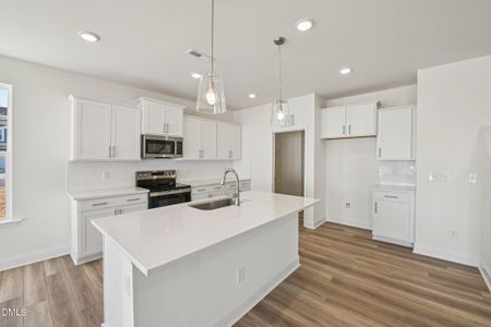 New construction Single-Family house 109 Millview Wy, Unit 8, Franklinton, NC 27525 - image