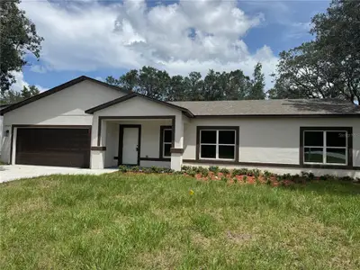 New construction Single-Family house 2007 W Hamshire Blvd, Citrus Springs, FL 34434 - image