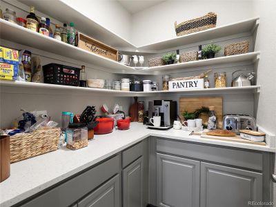 New construction Single-Family house 16015 Mountain Flax Dr, Monument, CO 80132 - image 10