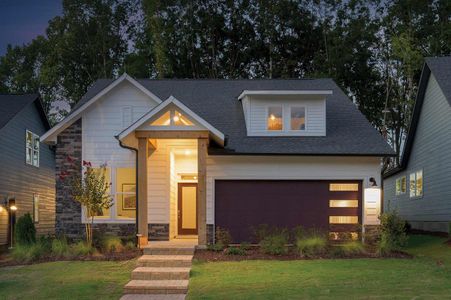 New construction Single-Family house 175 Prospect Place, Pittsboro, NC 27312 - photo 0