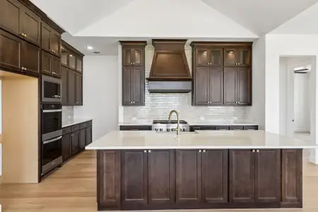New construction Single-Family house 2821 Neutral Player Ct, Celina, TX 75009 plan 4541 - image 6