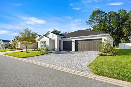 New construction Single-Family house 6229 SW 95th Street Rd, Ocala, FL 34476 plan Palmetto - image