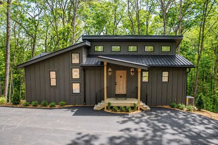 New construction Single-Family house 26 Grace Dr, Blue Ridge, GA 30513 - image