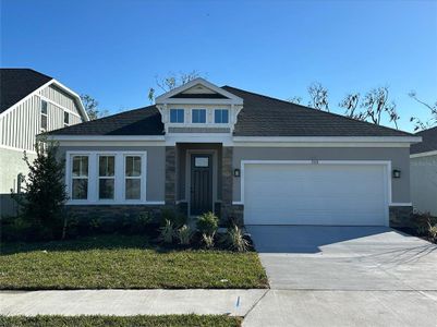 New construction Single-Family house 10131 Zennia Ln, Parrish, FL 34219 null- photo 0