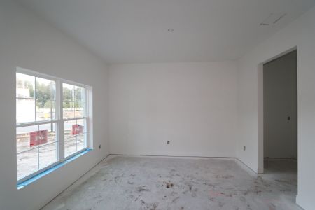 New construction Single-Family house 20288 Oriana Loop, Land O' Lakes, FL 34638 Coronado II- photo 45 45