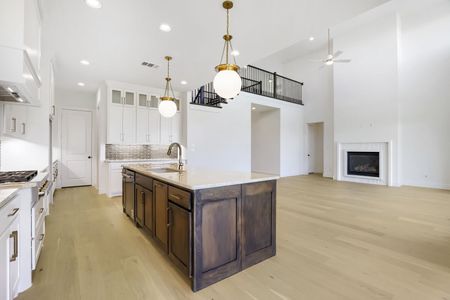 New construction Single-Family house 791 Falls Dr, Prosper, TX 75078 plan 1640 - image 10