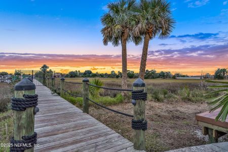 New construction Single-Family house 4119 Sunrise Cove Way, Jacksonville, FL 32250 null- photo 66 66