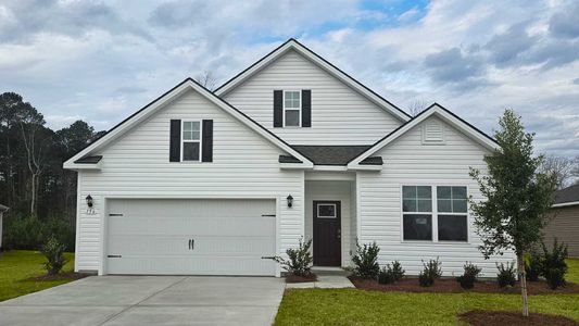 New construction Single-Family house 156 Cottage Red Ct, Conway, SC 29527 plan Dover - image