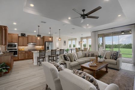 On Top of the World Communities by Colen Built Development, LLC in Ocala - photo 39 39